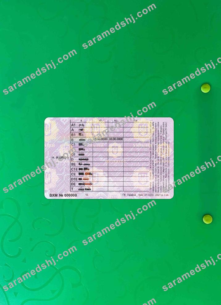Ukraine driving license 2021 - present photolook BACK